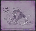 Cat Meme