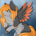 (P) Miss Pegasus