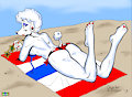 MFM'13: Yankee Poodle Grandly! (Color by MMM) by marmelmm