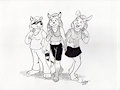 Shannon, Vera, and Mitzi by Rabbi-Tom