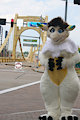 Pittsburg Fluff! by Ruathan