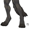 Footpaws