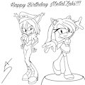 Happy Birthday MetalZaki 2017