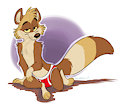 Risqué Raccoon
