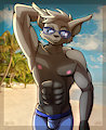 [C] Silver