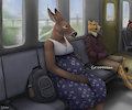 Transit by Difetra