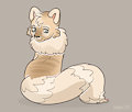 Cream Puff