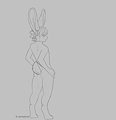Random Rabbit