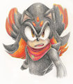 Israel the Hedgehog (Redesign) by Israel199