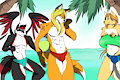 Sicily Beach Foxes <3
