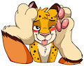 Paw smooshed, by Panda Paco