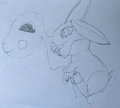 Please Stop by PIFBunny