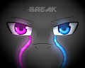 Break