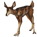 Bandi Prowling? Dunno