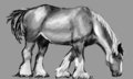 Daily Figure Sketch 326