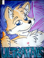 Ultratails Badge 2011