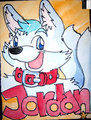 Jordan Badge 2011