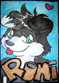 Roni Badge 2011