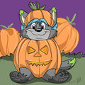 Pumpkin Patch Cubs Icon: Shoogy