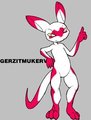 GERZITMUKERV