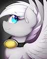 Winter Storm by TheBatfang