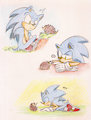 Sonic meets the hedgehog by EsbelleXD