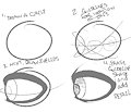Vex's Eye Guide by VexDoubloon