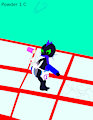 Wrong Battle Chip