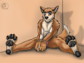 b-day gift by SweaWolf