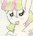 Blossomtrot