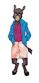 Donkey Boy's Street Clothes by Botbird