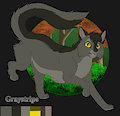 Graystripe