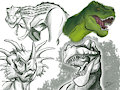 Dino Studies