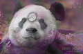 Lullaby - B y e