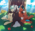 Commission for OcStaticNexus