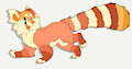 Momo the red fluffy panda