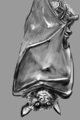 Daily Figure Sketch 327