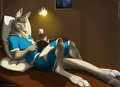 Starroo reads