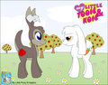 My Little Tooie & Koie