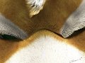 Close Up