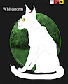 Whitestorm