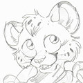 Cfz 17 Stuff - Sketch by @Dragibuz