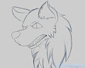 Wolf head sketch