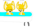 Bathtub Bash: Raccoon Twins In Bath