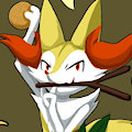 About Unglish Braixen