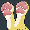 Have some pawz! by Feve by Salmy