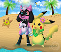 Island Tour