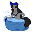 Pooltime!