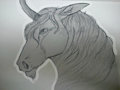 F&uacute;ria Traditional Headshot Sketch