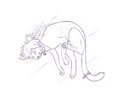 Free Sketch littlelostkitten